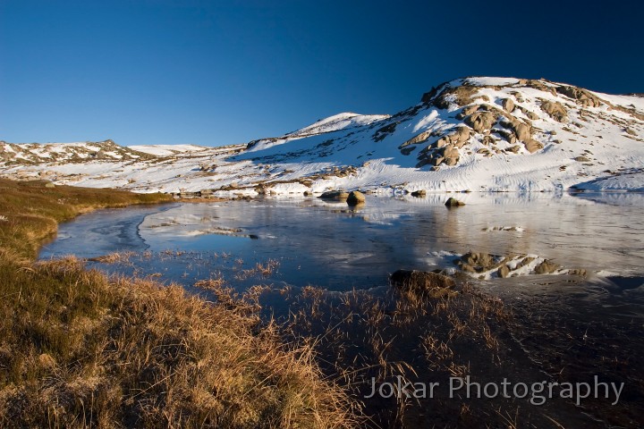 Hedley Tarn_20060528_321.jpg